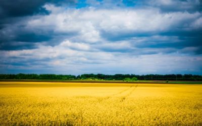 Swords to plowshares…a prayer for Ukraine